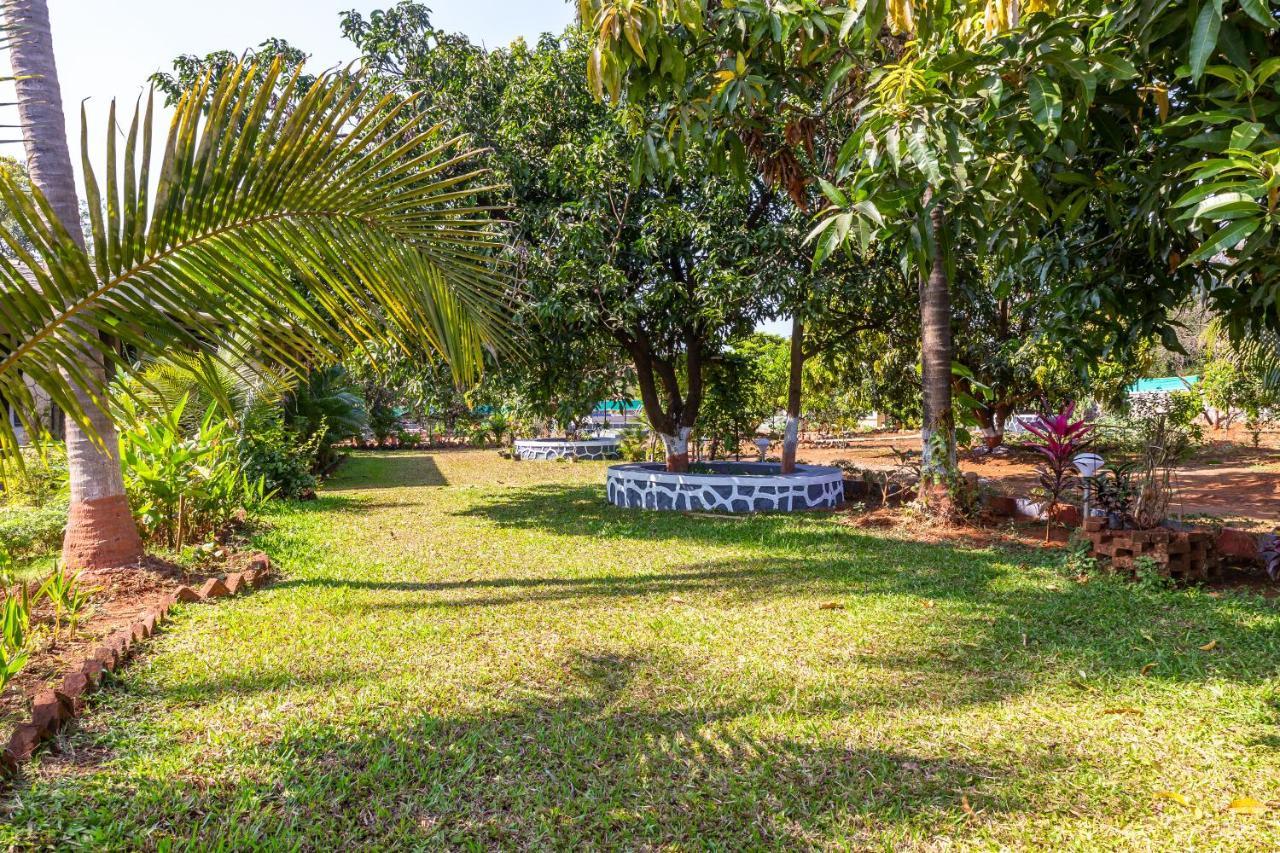 Saffronstays Apricus Farm, كارجات المظهر الخارجي الصورة